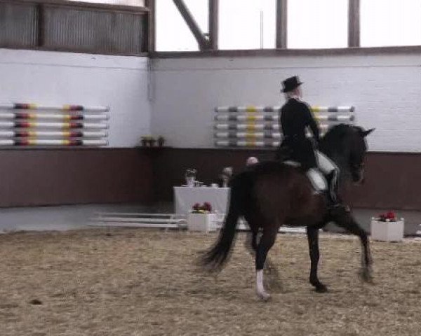 Dressur- und Springturnier Eröffnung der grünen Saison 2013