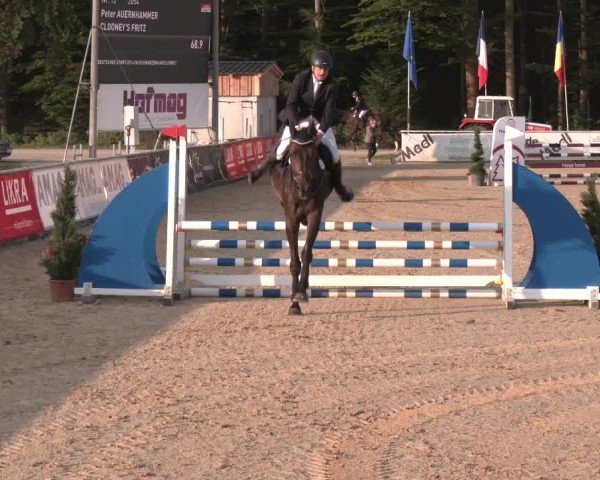Reitturnier Ranshofen - Braunau am Inn 2024