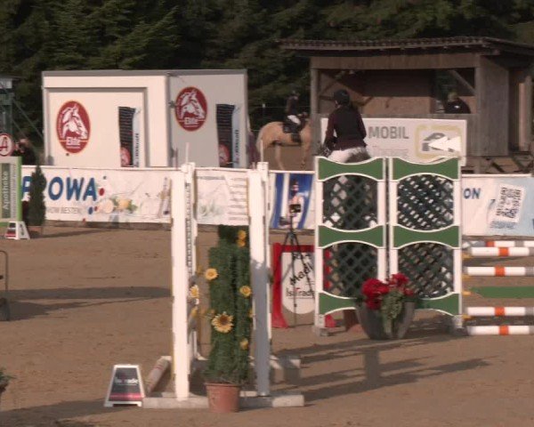 Reitturnier Ranshofen - Braunau am Inn 2024