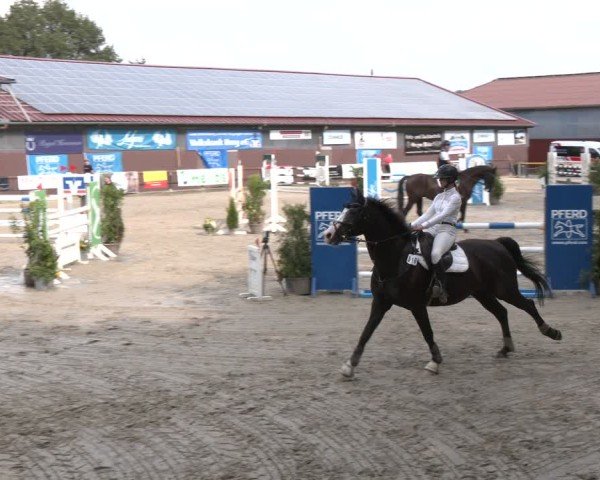 Reitturnier Marienheide-Kempershöhe 2024