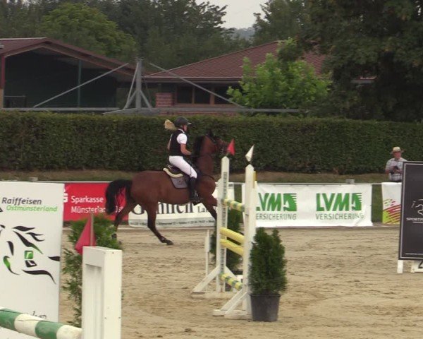 Reitturnier Ennigerloh-Neubeckum 2024