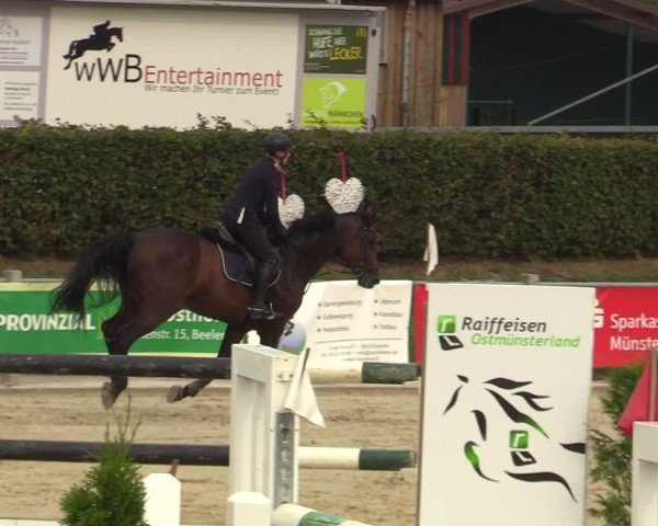Reitturnier Ennigerloh-Neubeckum 2024
