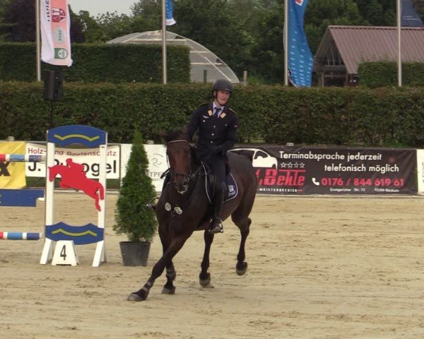 Reitturnier Ennigerloh-Neubeckum 2024