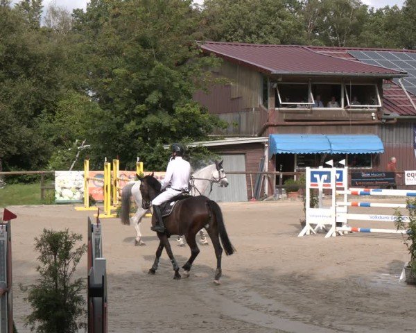 Reitturnier Marienheide-Kempershöhe 2024
