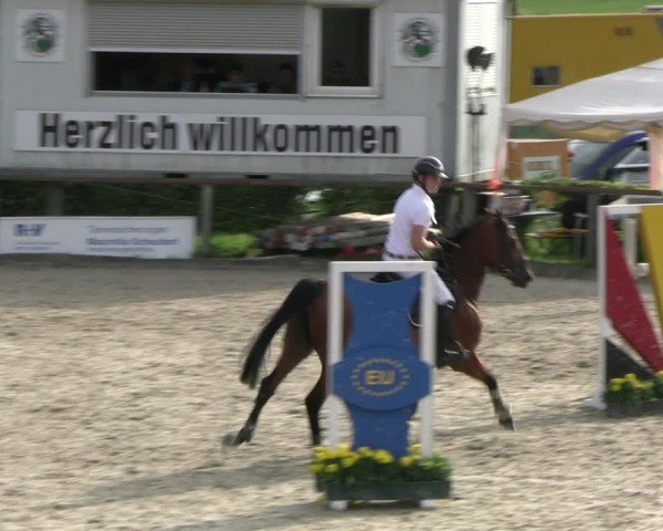 Reitturnier Monschau-Mützenich 2024
