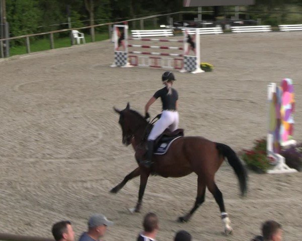 Reitturnier Monschau-Mützenich 2024