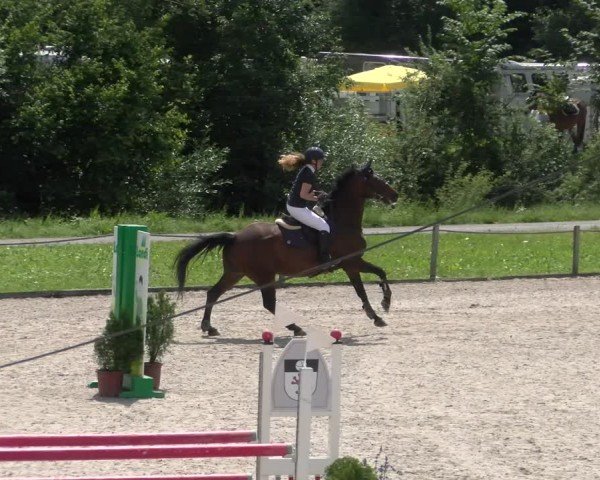 Reitturnier Gossau 2024