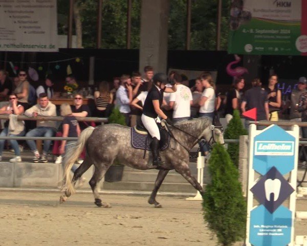 Reitturnier Ennigerloh-Neubeckum 2024