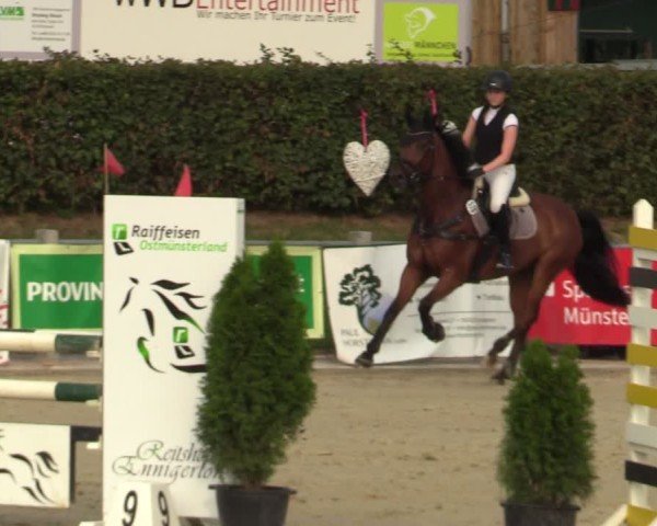 Reitturnier Ennigerloh-Neubeckum 2024