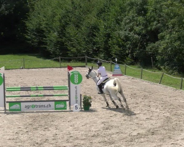 Reitturnier Gossau 2024