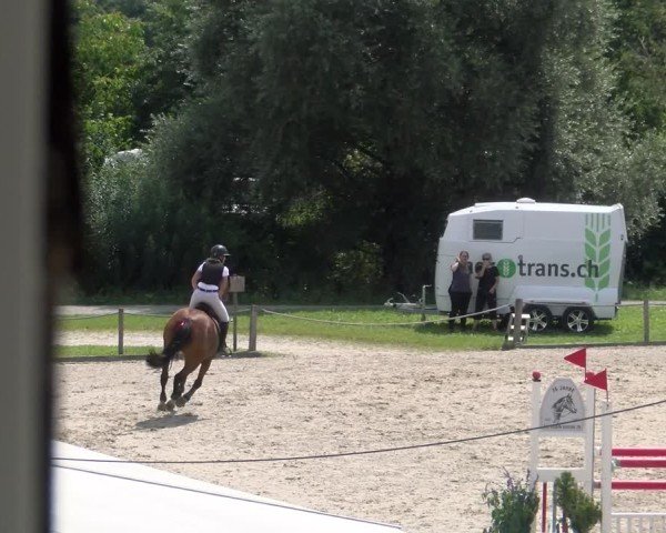 Reitturnier Gossau 2024