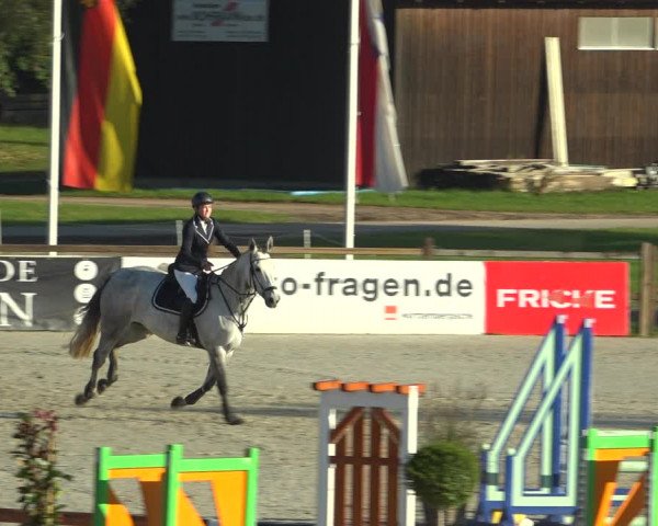 Reitturnier Westergellersen 2021