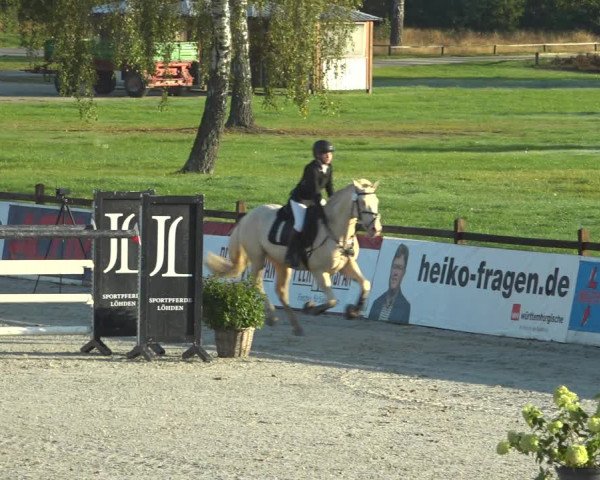 Reitturnier Westergellersen 2021
