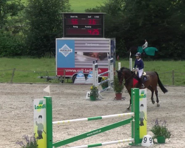 Reitturnier Gossau 2024