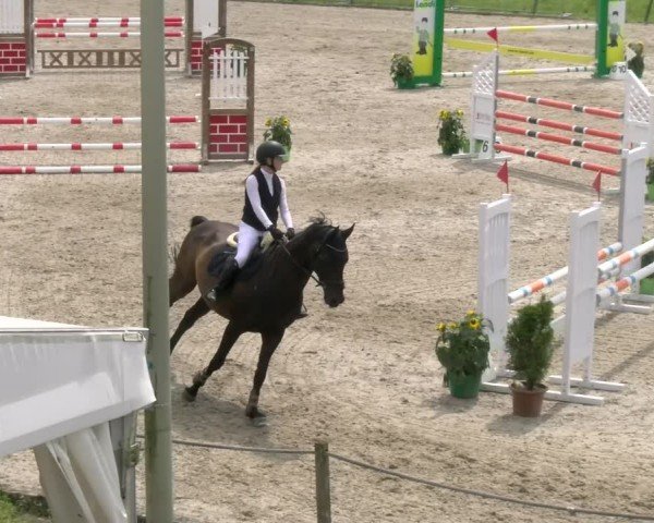 Reitturnier Gossau 2024