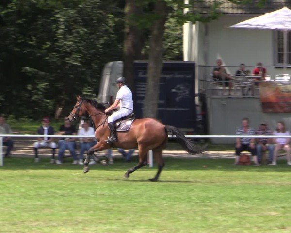 Reitturnier Zobbenitz 2024