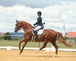 dressage horse Londimo (Hanoverian, 2009, from Londontime)