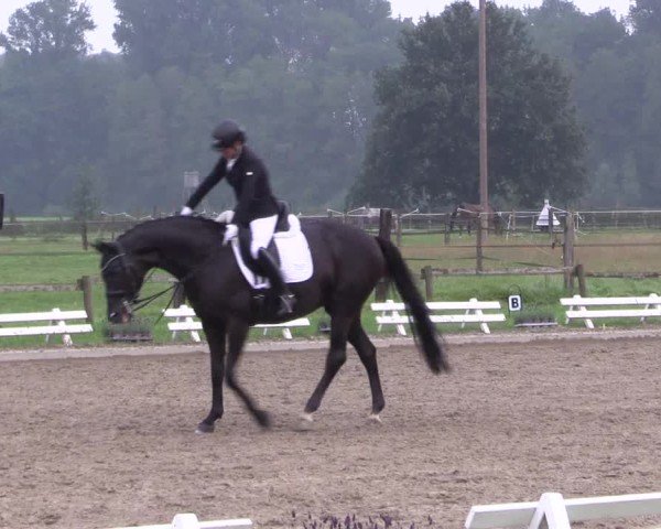 Reitturnier Nettetal-Lobberich 2024