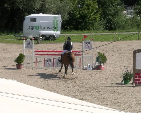 Reitturnier Gossau 2024