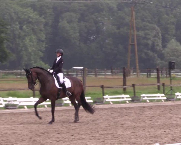 Reitturnier Nettetal-Lobberich 2024