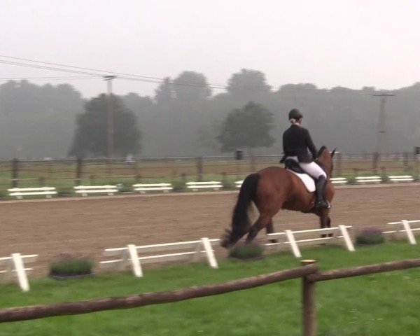 Reitturnier Nettetal-Lobberich 2024