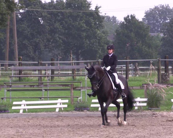 Reitturnier Nettetal-Lobberich 2024