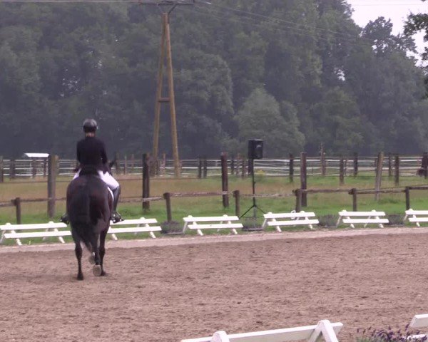 Reitturnier Nettetal-Lobberich 2024