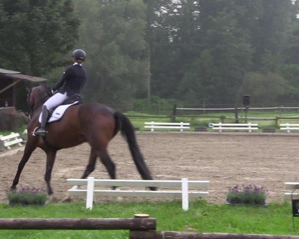 Reitturnier Nettetal-Lobberich 2024