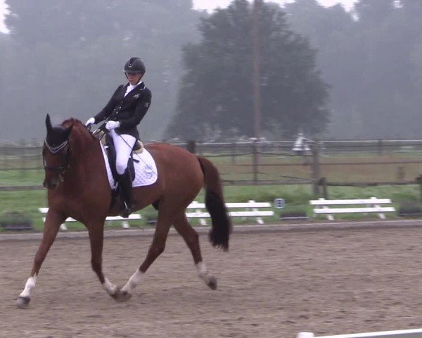 Reitturnier Nettetal-Lobberich 2024