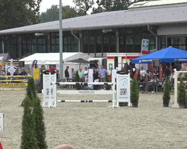 Reitturnier Nettetal-Lobberich 2024