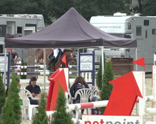 Reitturnier Nettetal-Lobberich 2024