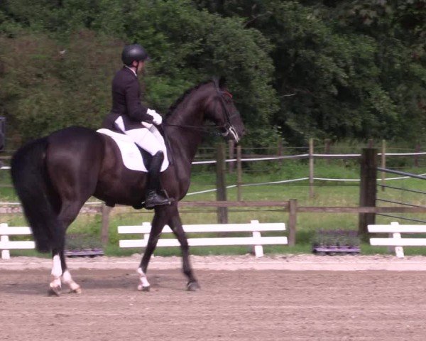 Reitturnier Nettetal-Lobberich 2024