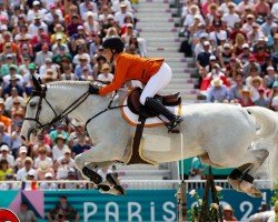 jumper Imagine N.O.P. (KWPN (Royal Dutch Sporthorse), 2013, from Cassini Gold)