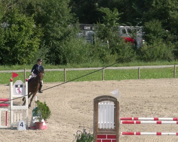Reitturnier Gossau 2024