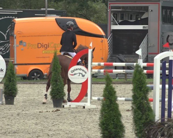 Reitturnier Nettetal-Lobberich 2024