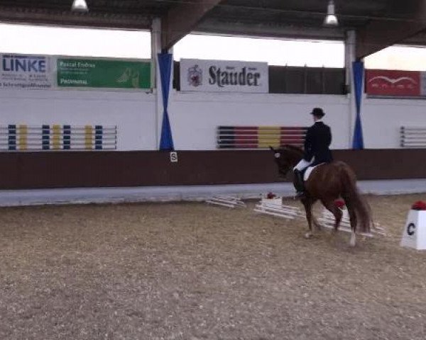 Dressur- und Springturnier Eröffnung der grünen Saison 2013