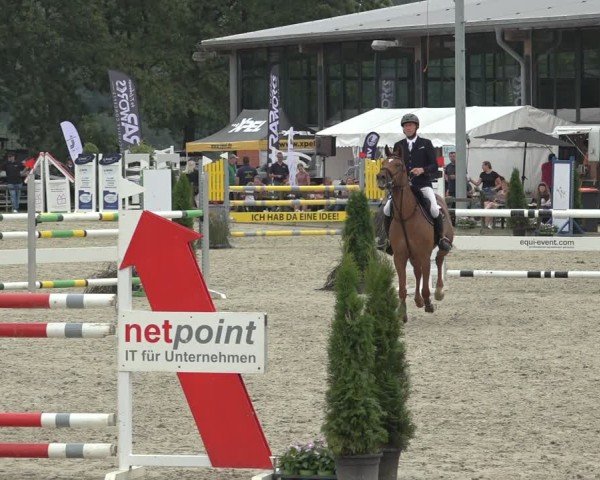 Reitturnier Nettetal-Lobberich 2024