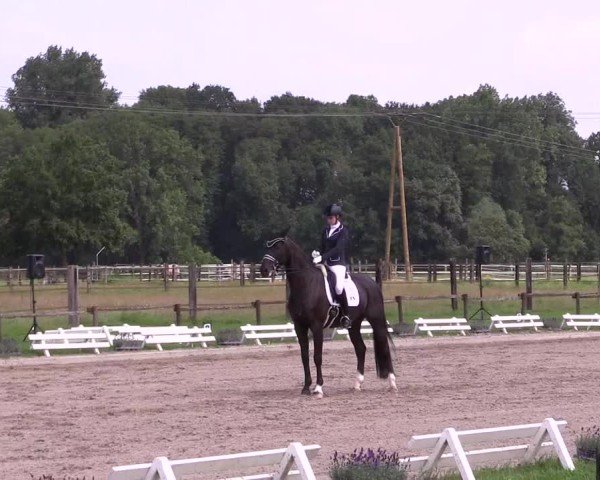 Reitturnier Nettetal-Lobberich 2024