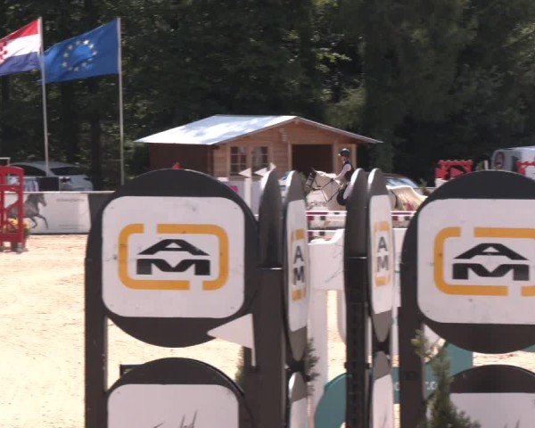 Reitturnier Ranshofen - Braunau am Inn 2024