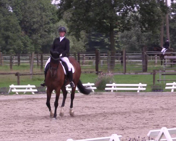 Reitturnier Nettetal-Lobberich 2024
