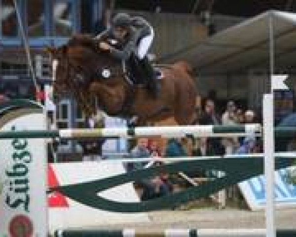 jumper Landfee Z (Sachse, 2002, from Lewinski)