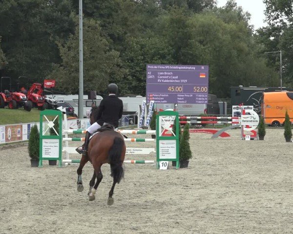 Reitturnier Nettetal-Lobberich 2024