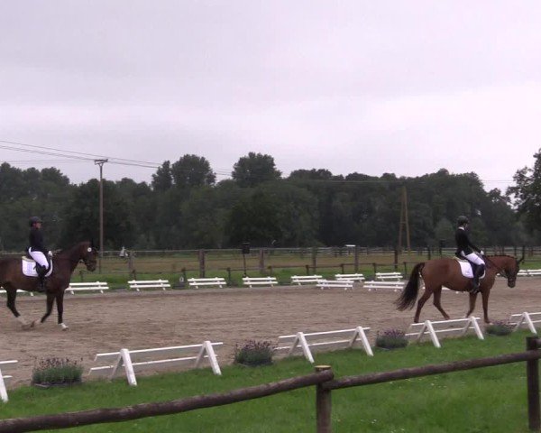 Reitturnier Nettetal-Lobberich 2024