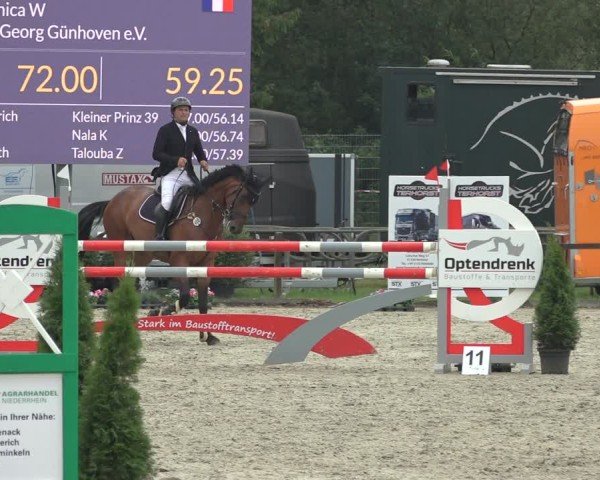 Reitturnier Nettetal-Lobberich 2024