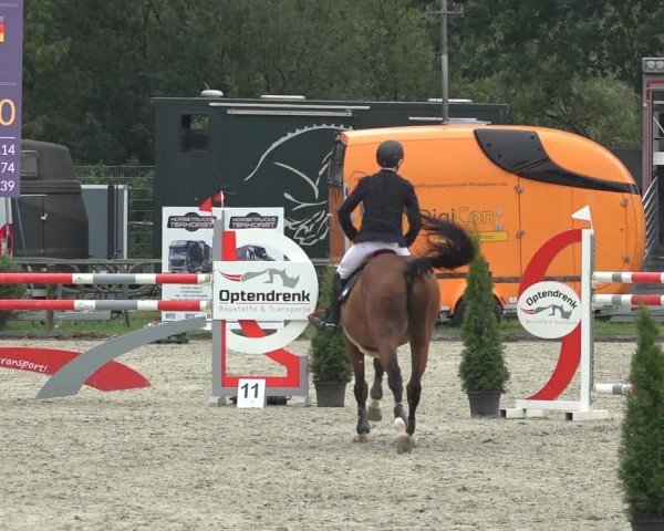 Reitturnier Nettetal-Lobberich 2024