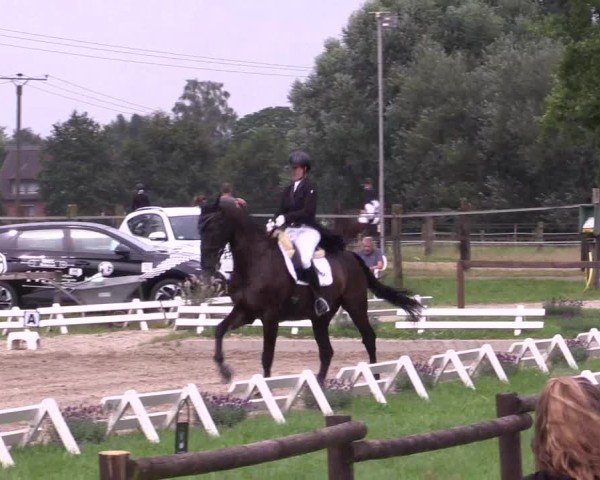 Reitturnier Nettetal-Lobberich 2024