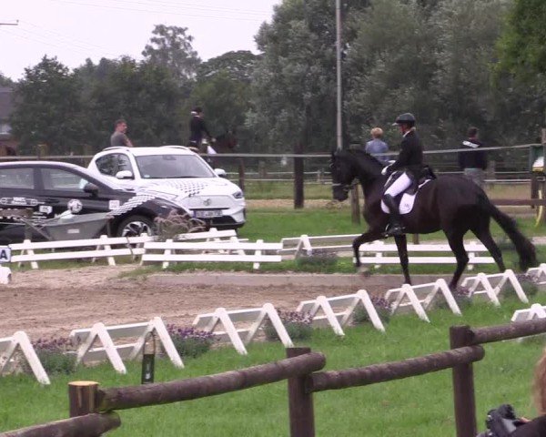 Reitturnier Nettetal-Lobberich 2024