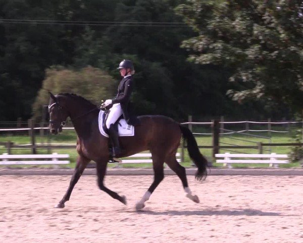 Reitturnier Nettetal-Lobberich 2024