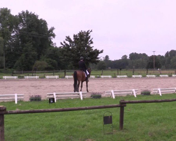 Reitturnier Nettetal-Lobberich 2024