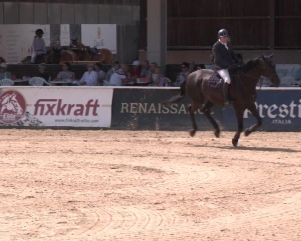Reitturnier Ranshofen - Braunau am Inn 2024